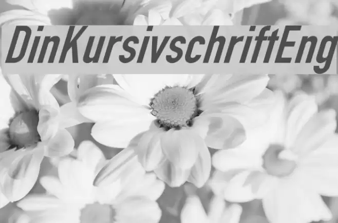 Din Kursivschrift Eng Polices examples