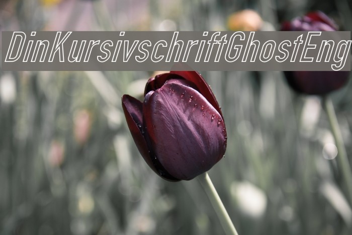 Din Kursivschrift Ghost Eng Шрифта examples