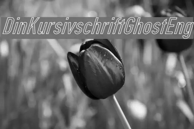 Din Kursivschrift Ghost Eng Шрифта examples