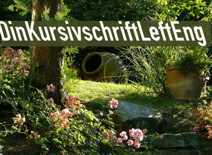 Din Kursivschrift Left Eng Font examples