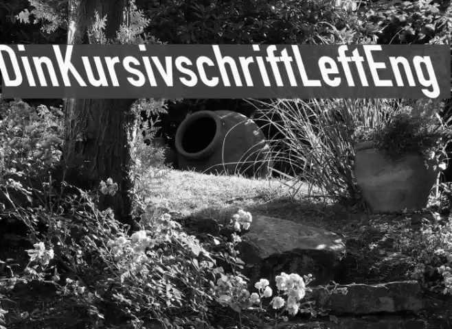 Din Kursivschrift Left Eng Polices examples