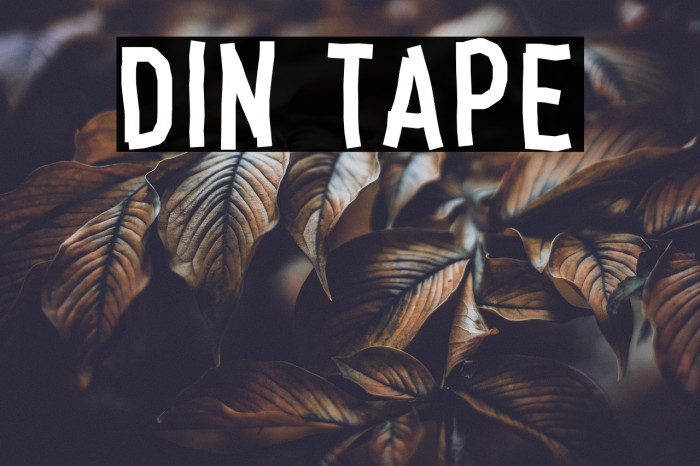 Din Tape Example 3