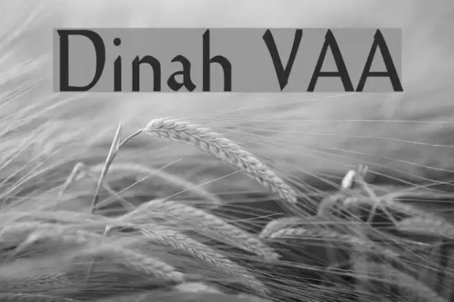 Dinah VAA Font examples
