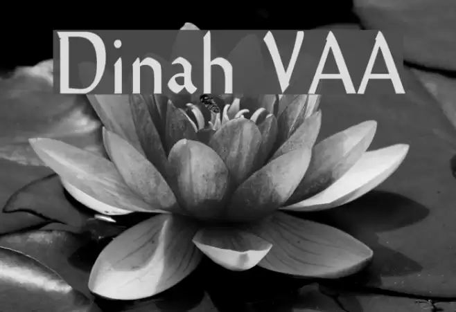 Dinah VAA Font examples