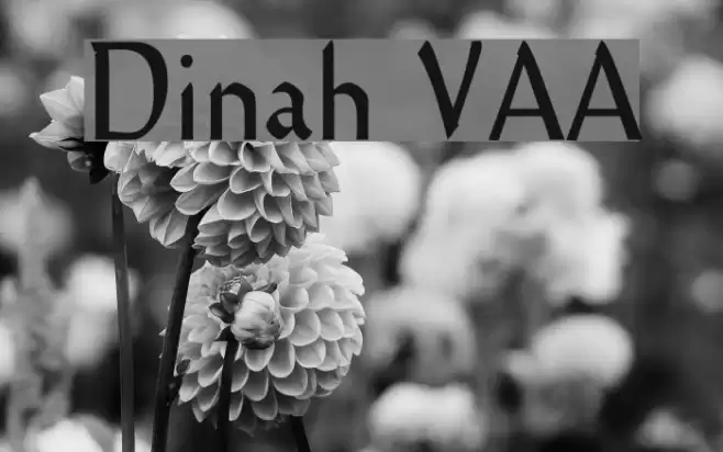 Dinah VAA Font examples
