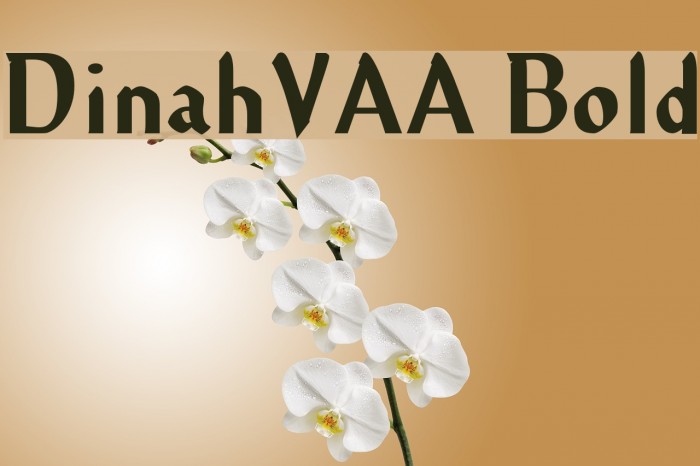 DinahVAA Bold Example 1