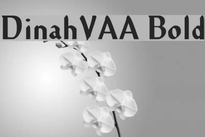 DinahVAA Bold Font examples