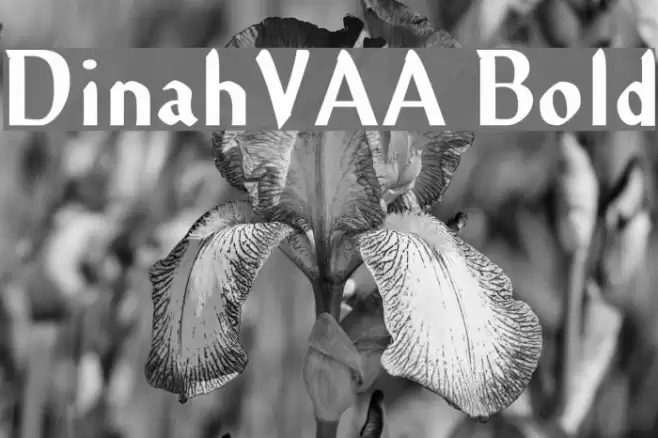 DinahVAA Bold Font examples
