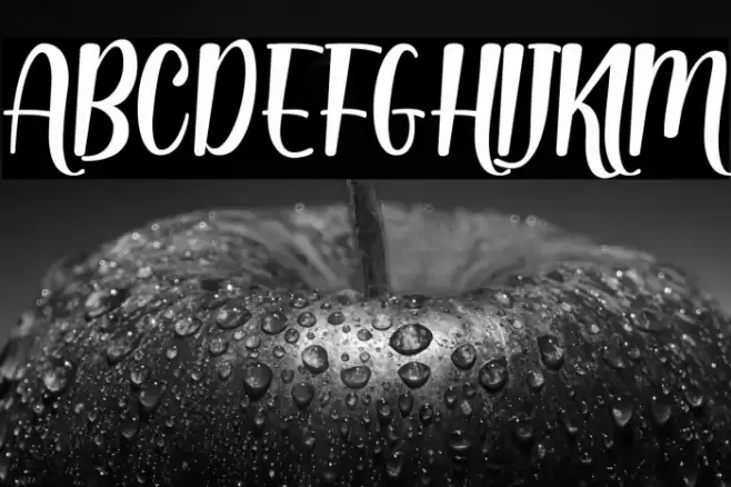 Dinalima Script Font examples