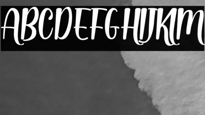 Dinalima Script Font examples