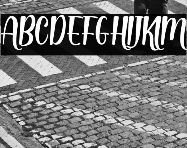 Dinalima Script Font examples