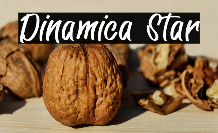 Dinamica Star Example 1