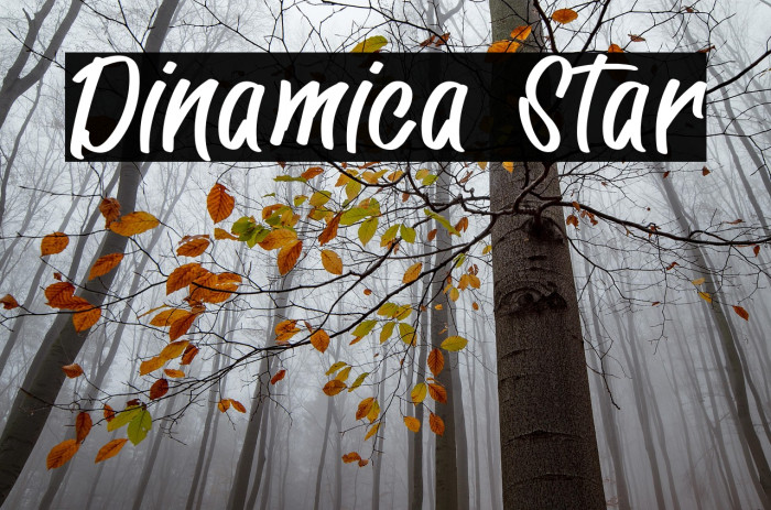 Dinamica Star Example 2