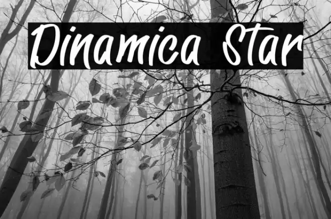 Dinamica Star Polices examples