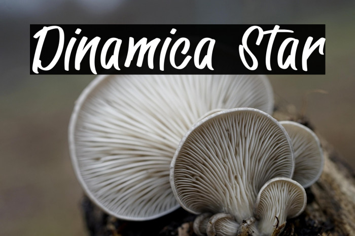 Dinamica Star Example 3