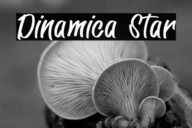 Dinamica Star Polices examples