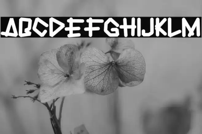 Dinamica Font examples