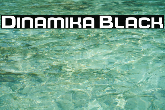 Dinamika Black फ़ॉन्ट examples