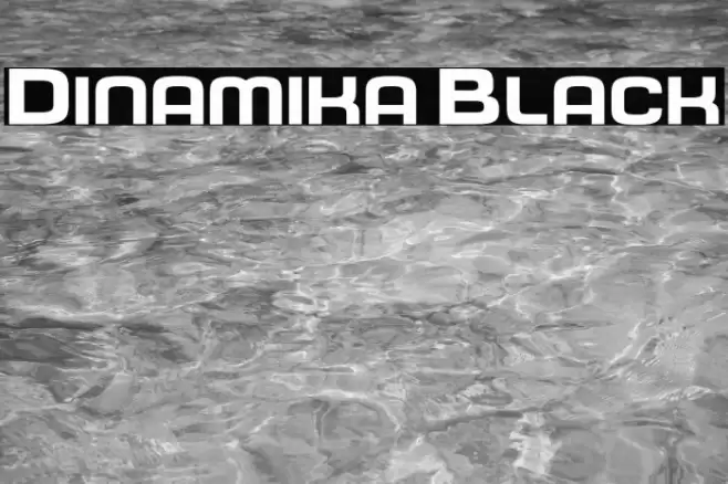 Dinamika Black Font examples