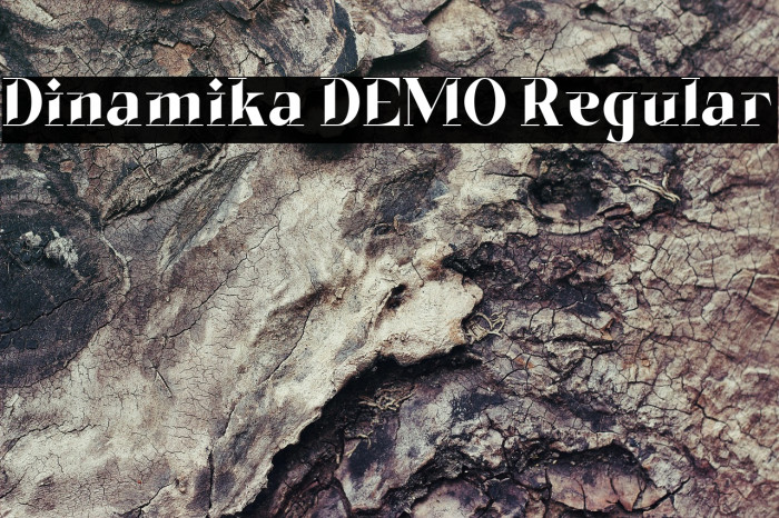Dinamika DEMO Regular Example 2