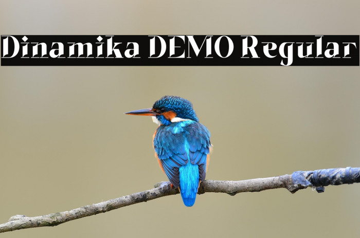 Dinamika DEMO Regular Example 3