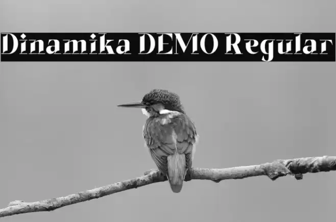 Dinamika DEMO Regular Font examples