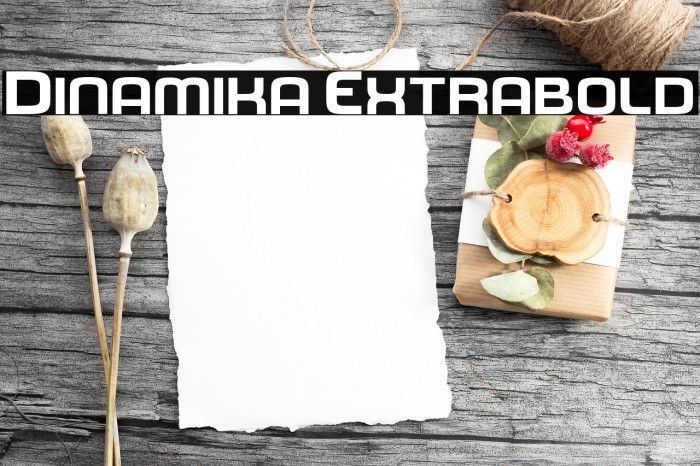 Dinamika Extrabold Font examples