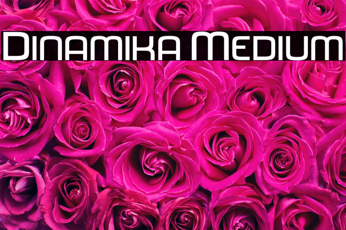 Dinamika Medium Font examples