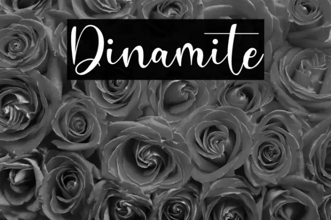Dinamite Font examples
