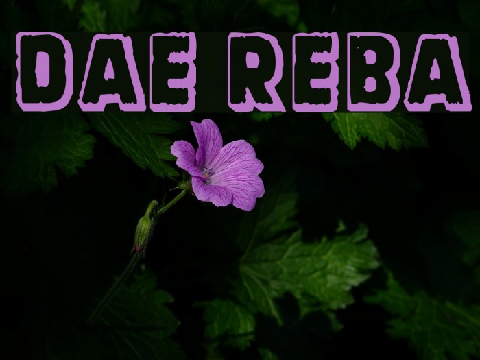 Dinarjev Republika Font examples