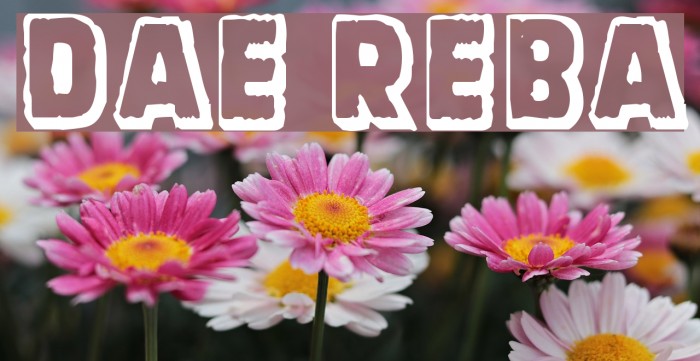 Dinarjev Republika Font examples