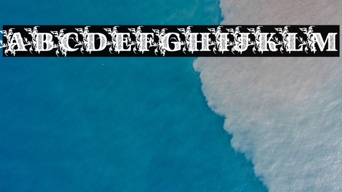 Dinasty Personal Use Bold Example 1