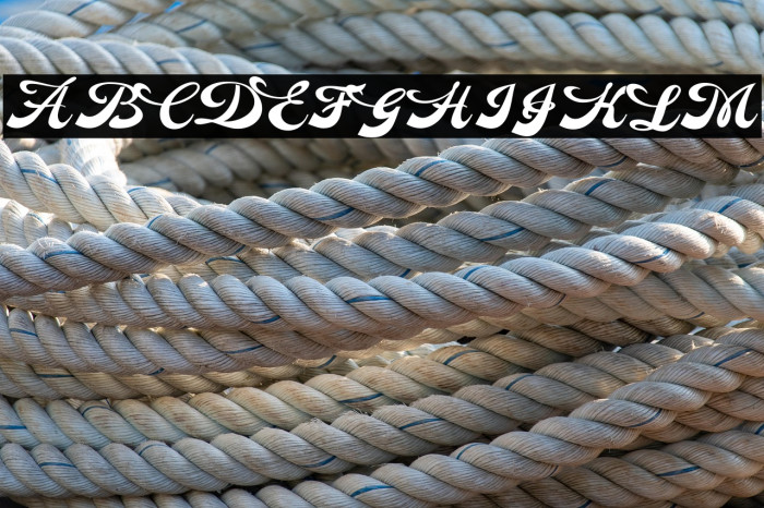 Dinasty Personal Use Regular Example 2