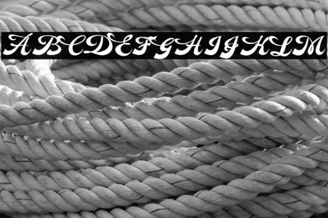 Dinasty Personal Use Regular خط examples