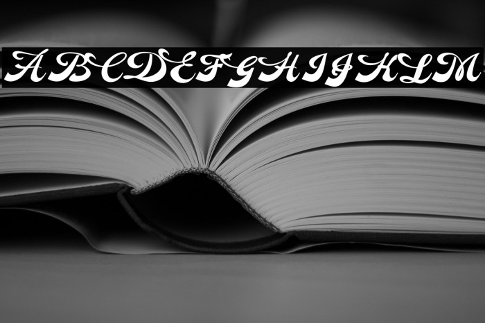 Dinasty Personal Use Regular Example 3