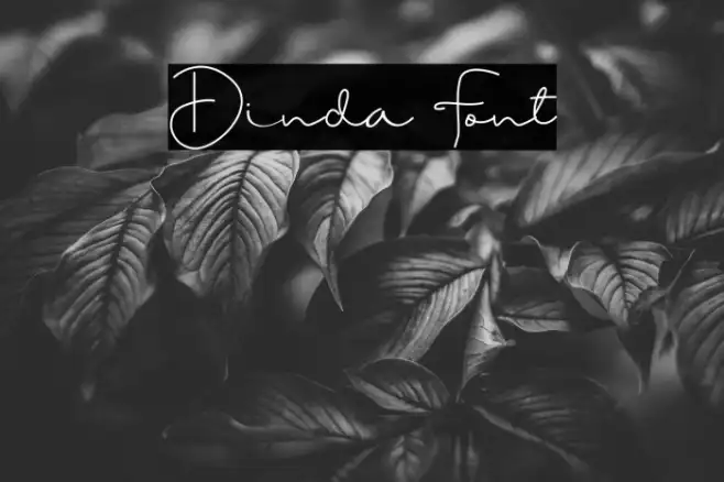 Dinda Example 1