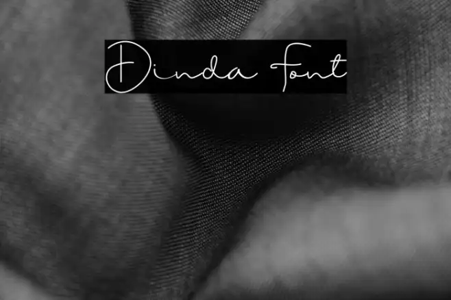 Dinda Example 2