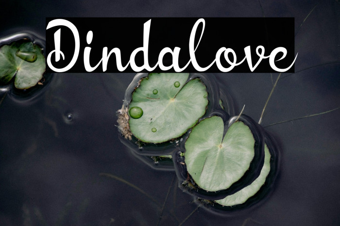 Dindalove Example 2