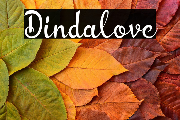 Dindalove Example 3