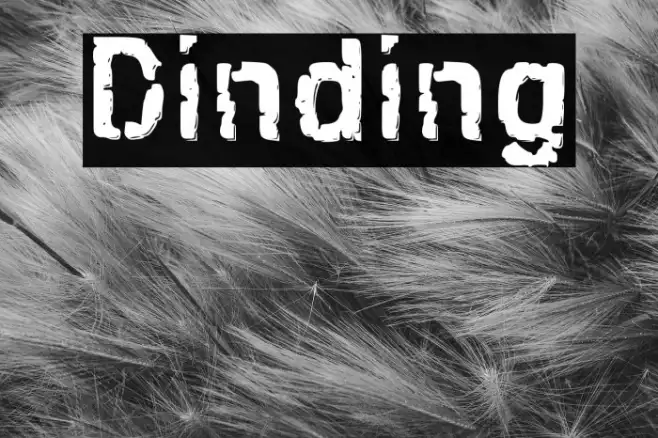 Dinding Example 3