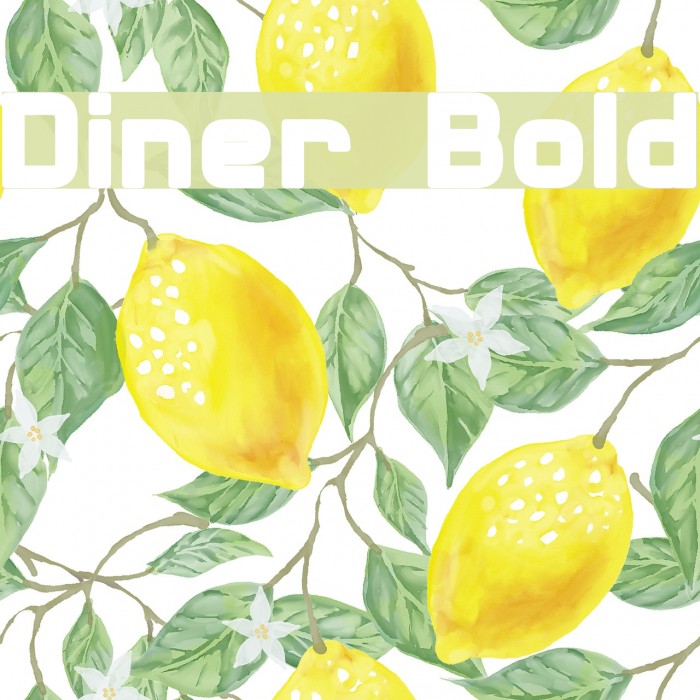 Diner Bold Font examples