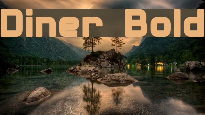 Diner Bold Font examples