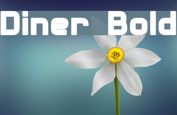 Diner Bold Font examples