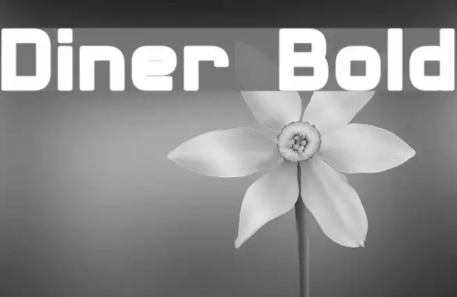 Diner Bold Example 3