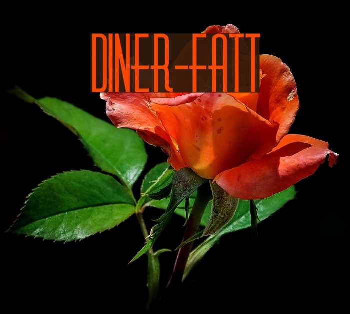 Diner-Fatt Example 3