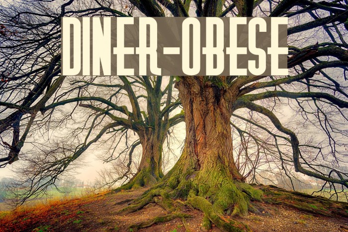 Diner-Obese Font examples