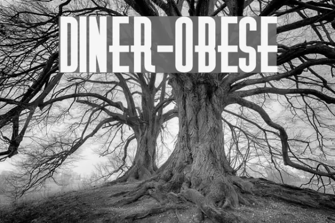 Diner-Obese Font examples