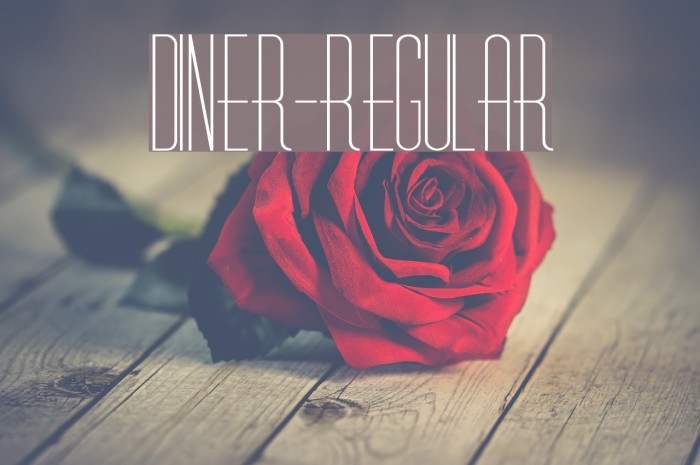Diner-Regular Font examples