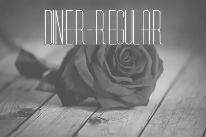 Diner-Regular フォント examples