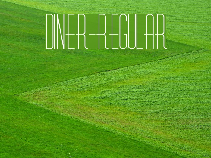 Diner-Regular Font examples
